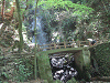 camp24 (125)_samu.gif